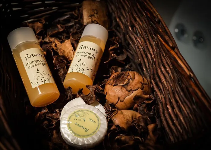 Paliokastro Casa de hóspedes Kato Sinikia Trikalon